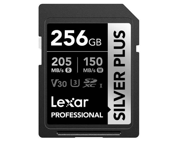 256GB Silver Plus SDXC UHS-I V30