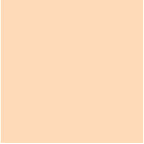 Fondale in carta 2,72x10m Wheat - 66
