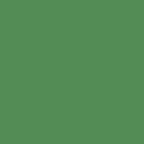 Fondale in carta 2,72x10m Deep Green - 12