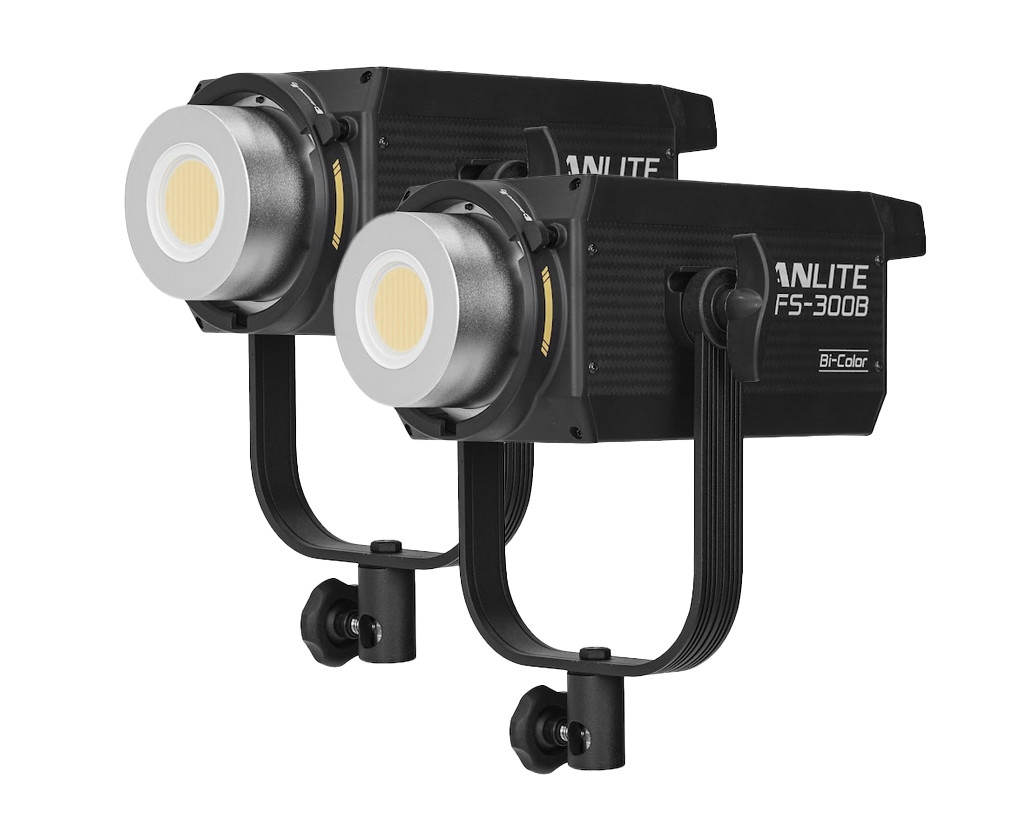 Kit 2pz Luce LED SPOT FS-300B Bicolor 350W