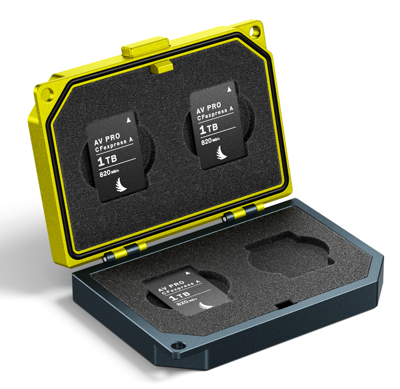 Custodia MEDIA TANK CFexpress Tipo A