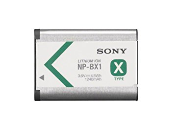Batteria NP-BX1