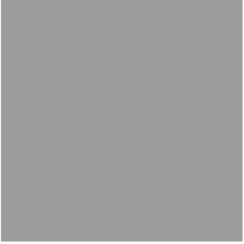 Fondale in carta 2,72x10m Pursuit Grey - 21