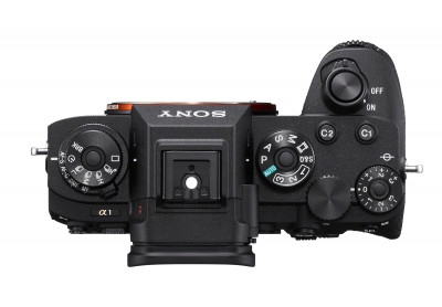 Alpha 1 Body — immagine 4