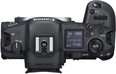EOS R5 + RF 24-105mm F4 L IS USM — immagine 3