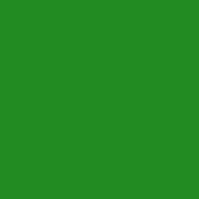 Fondale di carta 2,72x11m Chroma Key - 54