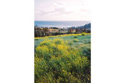 Color Negative 35 mm ISO 400 - Confezione da 3 — immagine 10