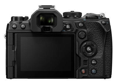 OM-1 Mark II + M.Zuiko 12-40mm F2.8 PRO II — immagine 3