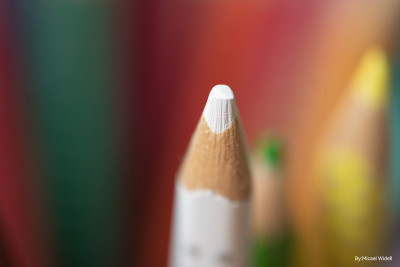 100mm F2.8 MACRO TILT SHIFT Canon R — immagine 7