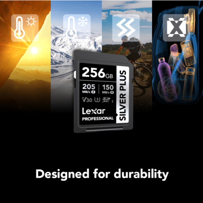 256GB Silver Plus SDXC UHS-I V30 — immagine 4