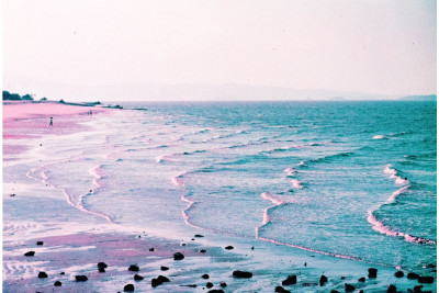 2021 LomoChrome Purple Pétillant 35 mm ISO 100–400 — immagine 7
