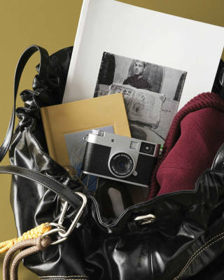 X Half Silver (X-HF1) — immagine 9