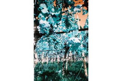 Fotocamera Simple Use Ricaricabile LomoChrome Turquoise — immagine 8