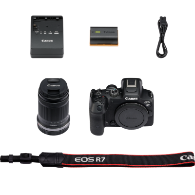 EOS R7 + RF-S 18-150mm F3.5-6.3 IS STM — immagine 8