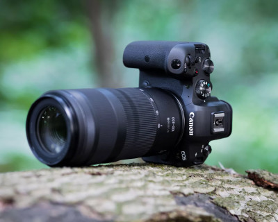 RF 100-400mm F5.6-8 IS USM — immagine 6