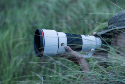 FE 300mm f/2.8 GM OSS (SEL300F28GM) — immagine 9