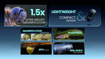 180mm f/4.5 1.5x Ultra Macro APO Canon RF — immagine 6