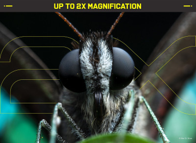 Venus Optics 58mm f/2.8 2X Ultra Macro APO EOS R — immagine 6