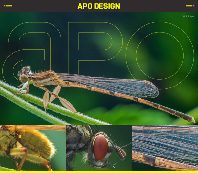 Venus Optics 58mm f/2.8 2X Ultra Macro APO Sony E — immagine 5