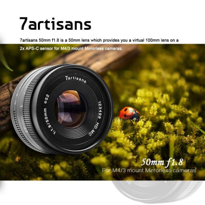 35mm f/2.0 x Sony E — immagine 7