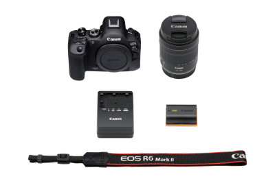 EOS R6 Mark II + RF 24-105 F4-7.1 IS STM — immagine 8