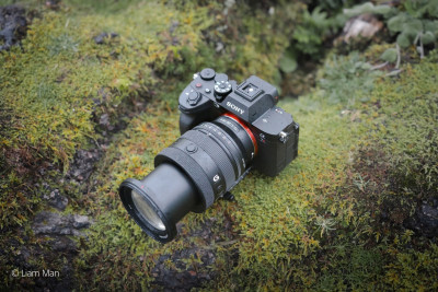 FE 20-70mm f/4 G (SEL2070G) — immagine 4