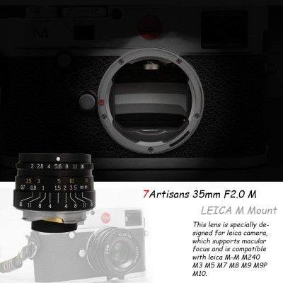 35mm f/2.0 x Leica M — immagine 5