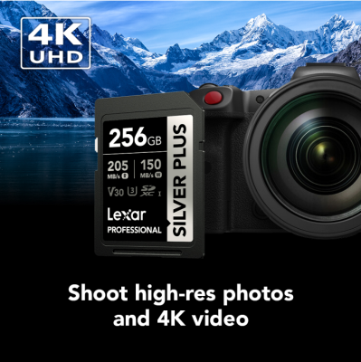 256GB Silver Plus SDXC UHS-I V30 — immagine 3
