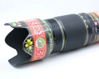 XF50-140mm F2.8 R LM OIS WR (Pittato da Salvatore Sapienza) — immagine 2