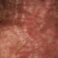 Fondale in stoffa 3x6m Rosso Bruno — immagine 2