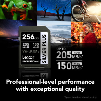 256GB Silver Plus SDXC UHS-I V30 — immagine 2