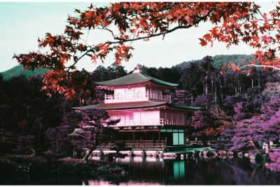 2021 LomoChrome Purple Pétillant 35 mm ISO 100–400 — immagine 9