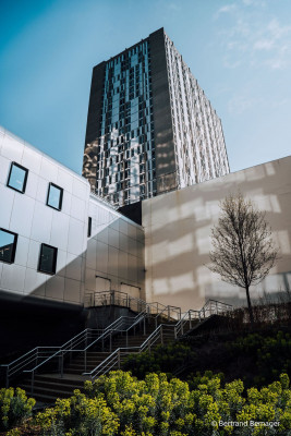 FE 24mm F/2.8 G (SEL24F28G) — immagine 5