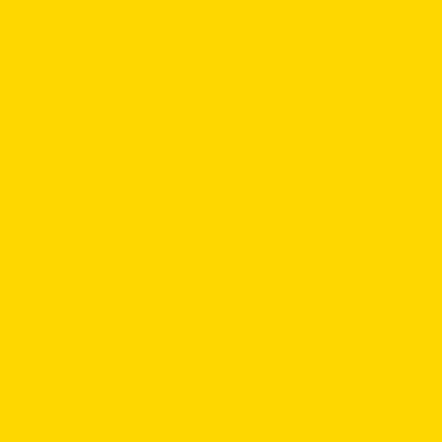 Fondale di carta 2,72x11m Fortythia Yellow - 14
