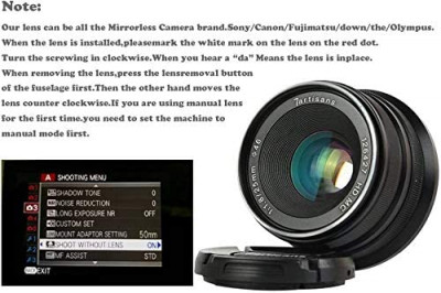 25mm f/1.8 x Fuji FX — immagine 3