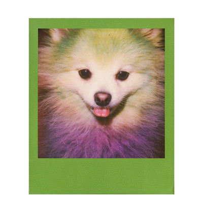 COLOR FILM FOR 600 - COLOR FRAMES — immagine 6