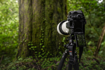 A7R V solo corpo (ILCE7RM5) — immagine 9