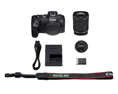 EOS R8 + RF 24-105mm F4-7.1 IS STM — immagine 7