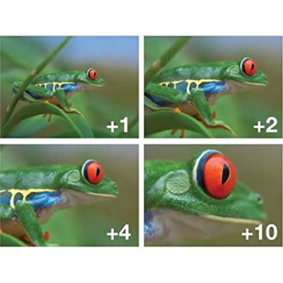 Close-Up Set II (+1,+2,+4) 49mm — immagine 5