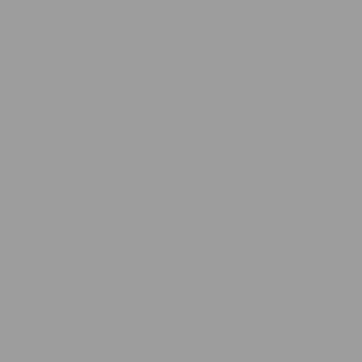 Fondale di carta 2,72x11m Pursuit Grey - 21