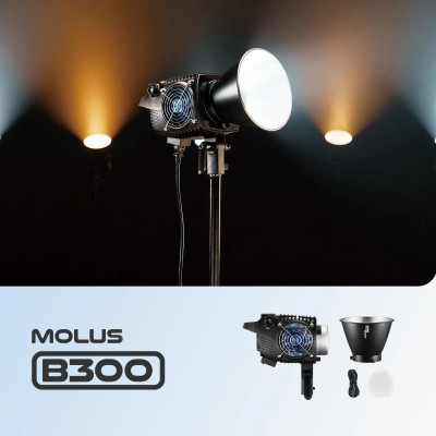 Molus B300 — immagine 4