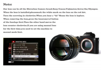 50mm f/1.1 x Leica M Black — immagine 6