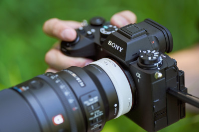 FE 100mm F2.8 Macro GM OSS — immagine 5