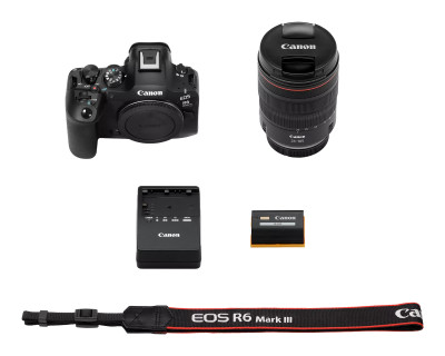 EOS R6 Mark III + RF 24-105mm F4 L IS USM — immagine 8