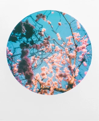 COLOR FILM FOR 600 - ROUND FRAME — immagine 3