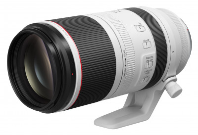 RF 100-500mm F4.5-7.1 L IS USM