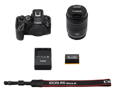 EOS R6 Mark III + RF 24-105mm F4-7.1 IS STM — immagine 8